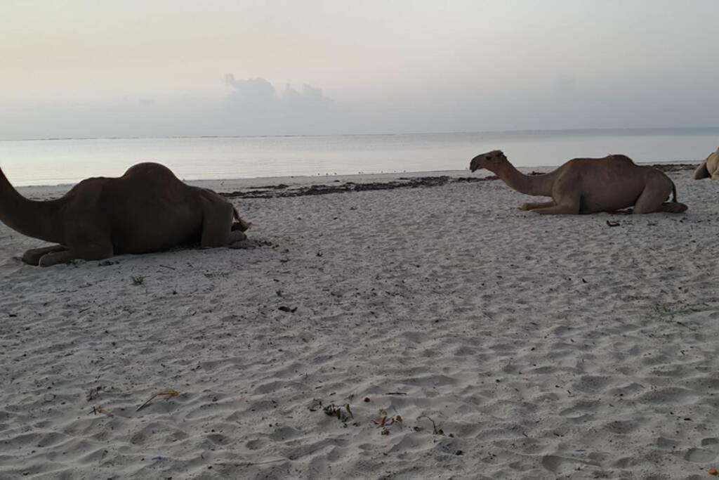 Cowrie Beach Haven Studio Apartment Mombasa Exterior foto
